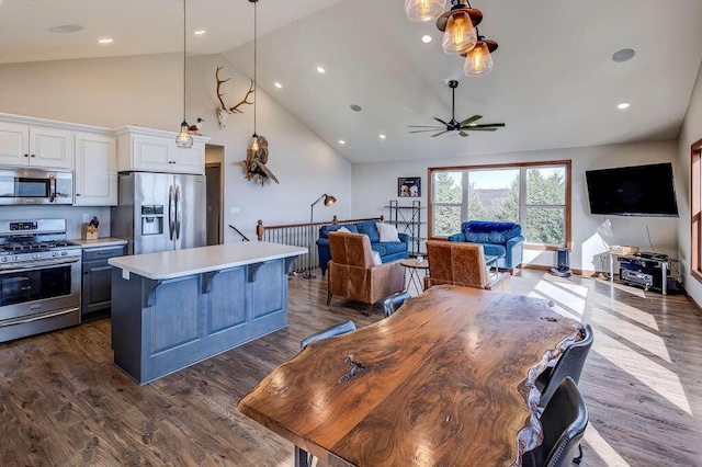 kitchen featuring white cabinetry, dark hardwood / wood-style flooring, ceiling fan, and stainless steel appliances