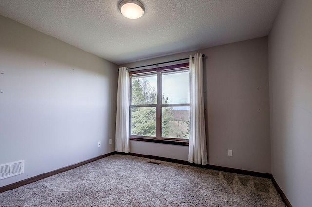 spare room with carpet and a textured ceiling