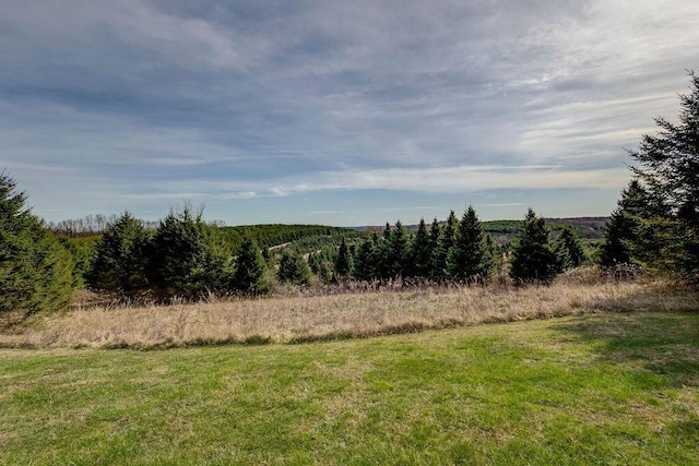 view of local wilderness featuring a rural view