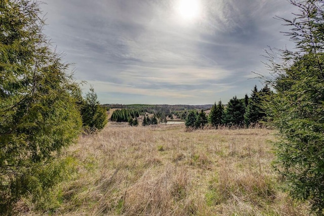 view of local wilderness featuring a rural view