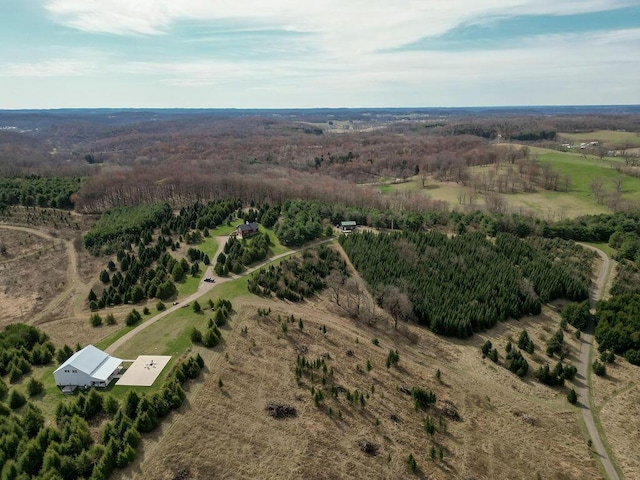 drone / aerial view with a rural view