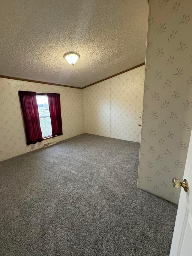 carpeted spare room featuring a textured ceiling