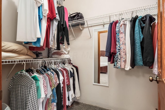 walk in closet with carpet flooring