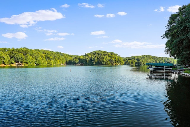 water view featuring a boat dock