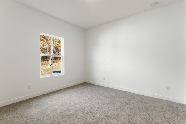 spare room with carpet floors