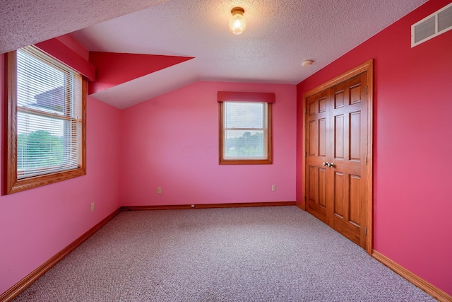 additional living space featuring carpet flooring, a textured ceiling, and lofted ceiling