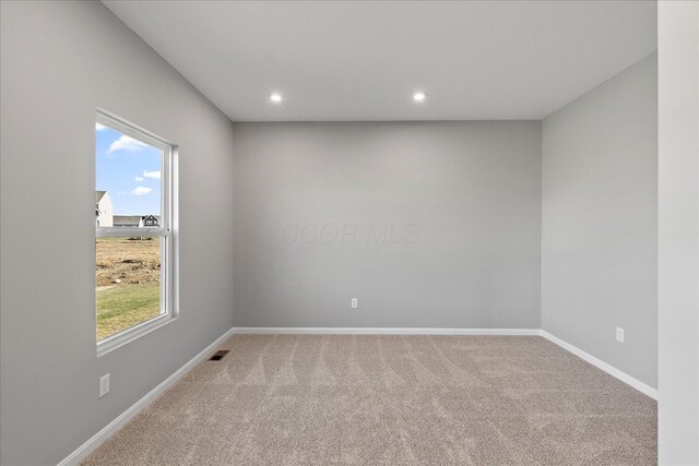 carpeted empty room with a healthy amount of sunlight