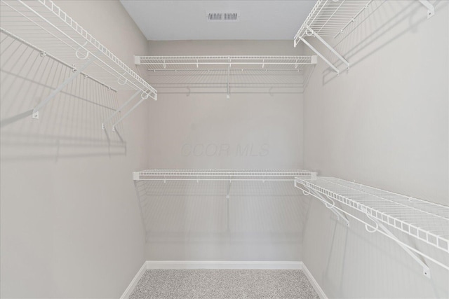 spacious closet with carpet floors