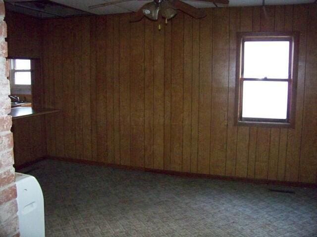 spare room with wood walls, carpet floors, a wealth of natural light, and a brick fireplace