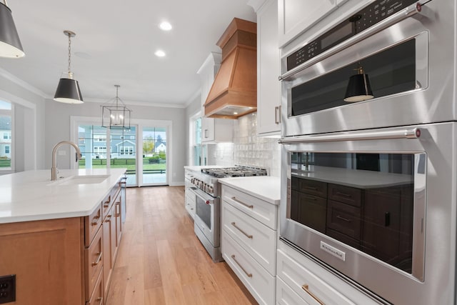 kitchen featuring appliances with stainless steel finishes, premium range hood, white cabinetry, and sink