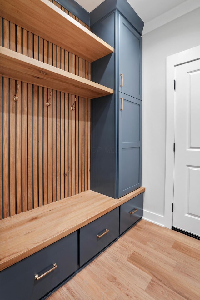 mudroom with light wood-type flooring