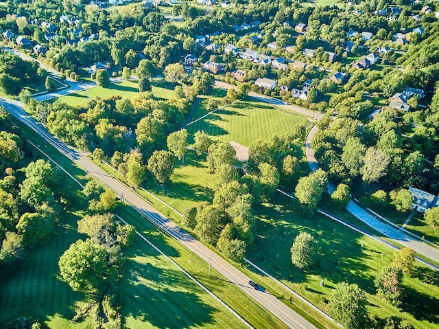 bird's eye view