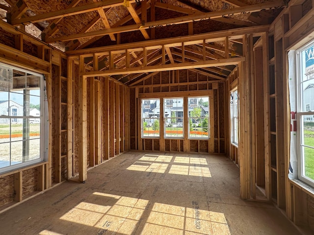 miscellaneous room with a wealth of natural light