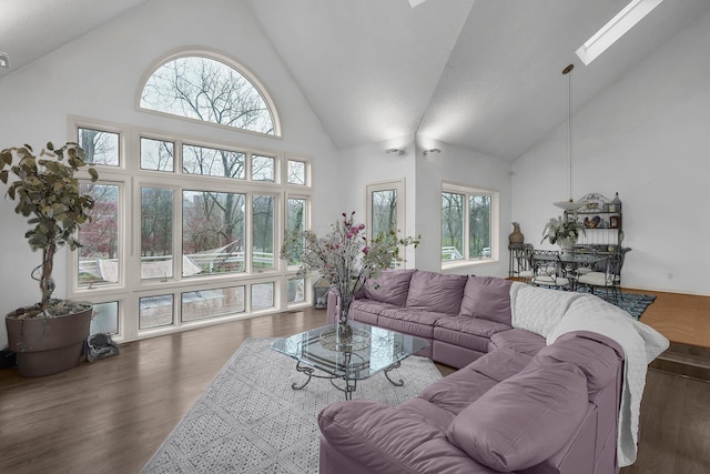 6730 Dublin Rd, Dublin, OH 43017 - living room featuring a skylight, high vaulted ceiling, and a wealth of natural light