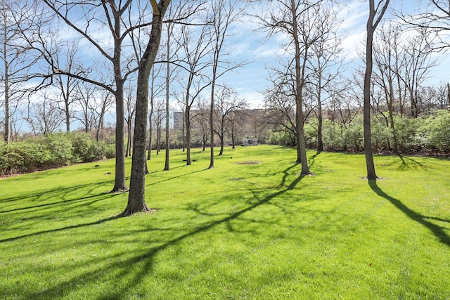 6730 Dublin Rd, Dublin, OH 43017 - view of yard