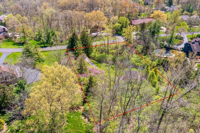 690 Retreat Ln, Powell, OH 43065 - photo 5