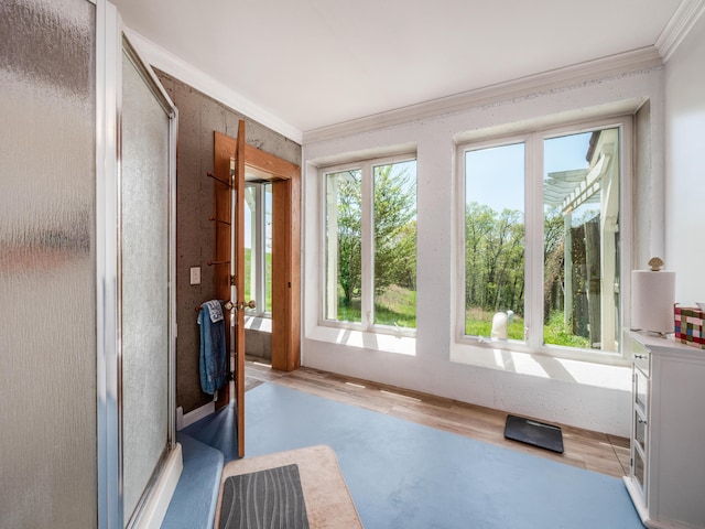 entryway featuring a wealth of natural light and crown molding