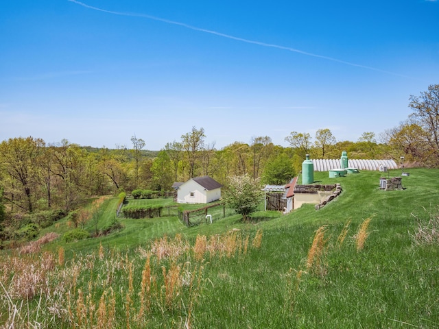 view of yard featuring a rural view