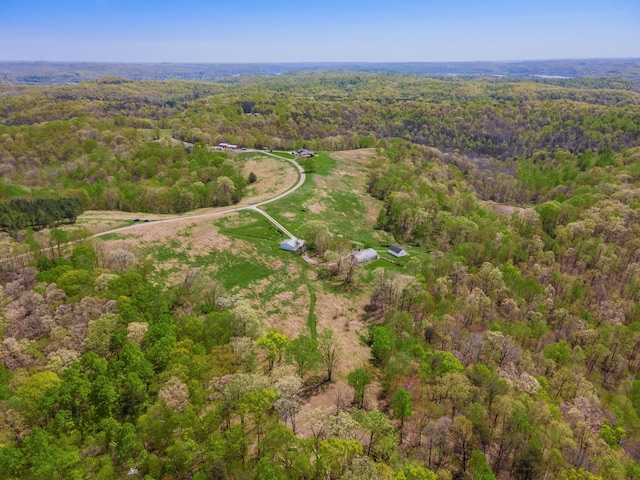 aerial view