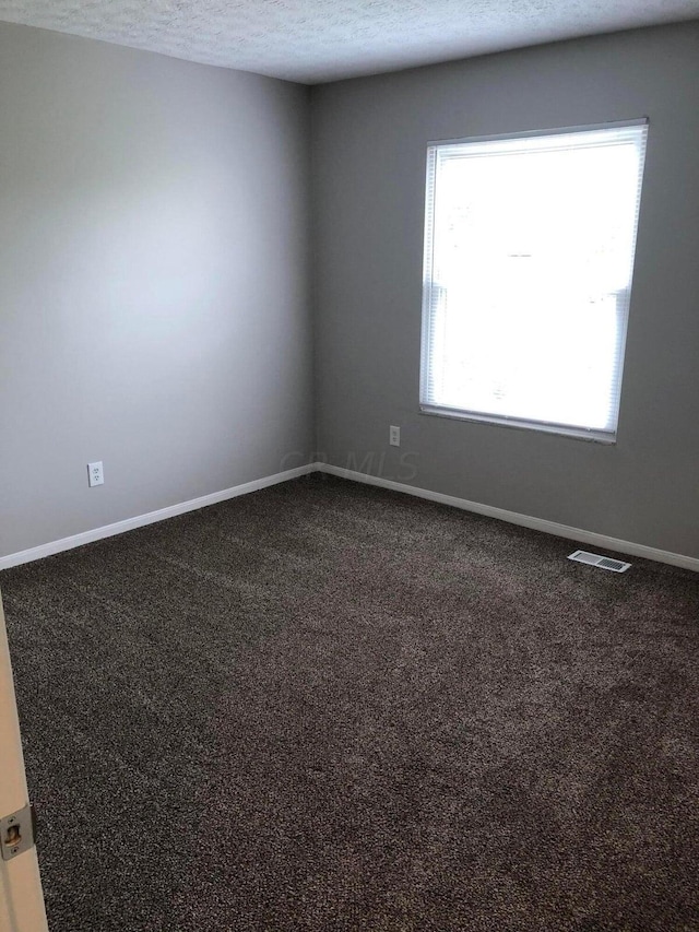 spare room with carpet and a textured ceiling