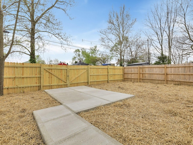 view of yard featuring a patio area