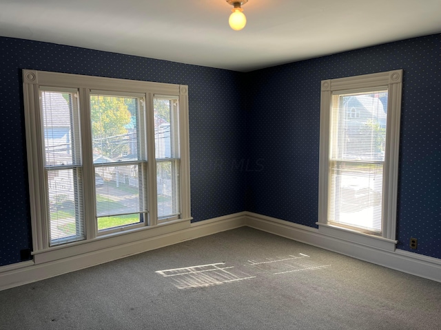 unfurnished room featuring carpet