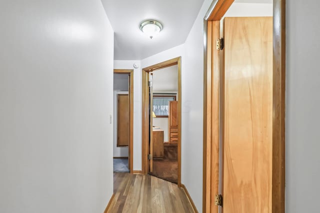 corridor with hardwood / wood-style floors