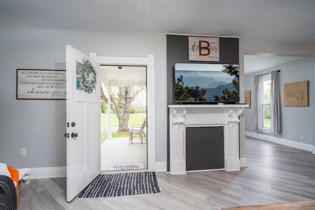 foyer with hardwood / wood-style floors