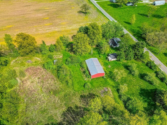 6598 Duvall Rd, Ashville, OH 43103 - photo 9