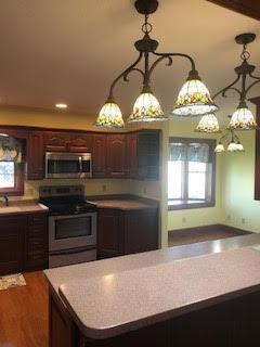 kitchen featuring dark hardwood / wood-style flooring, hanging light fixtures, dark brown cabinets, and stainless steel appliances