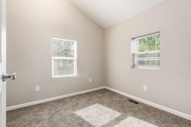 spare room featuring a wealth of natural light, carpet, and lofted ceiling