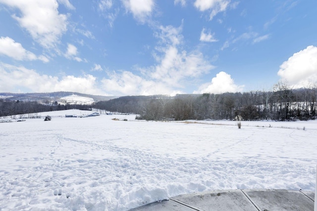 view of yard covered in snow