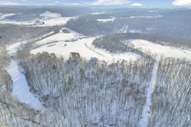 snowy aerial view with a mountain view