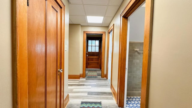 hall with a paneled ceiling and light hardwood / wood-style flooring