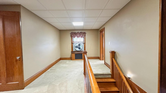 staircase with carpet flooring and a drop ceiling