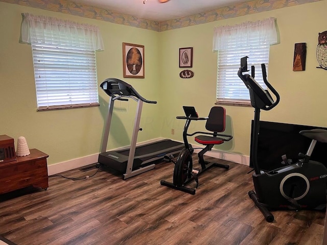 exercise area featuring hardwood / wood-style floors