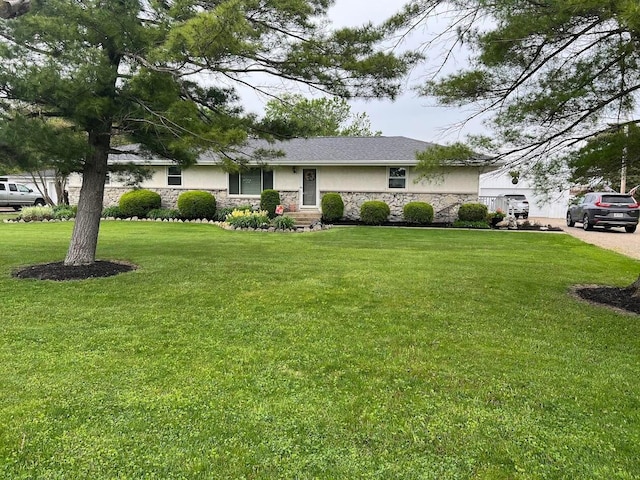 ranch-style house with a front yard