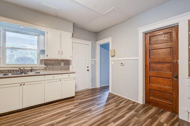 kitchen featuring white cabinets, wood-type flooring, tasteful backsplash, and sink