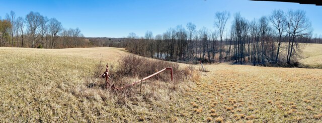 view of local wilderness with a rural view