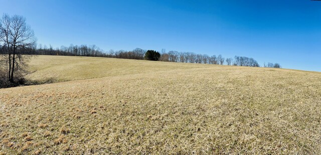 view of yard with a rural view