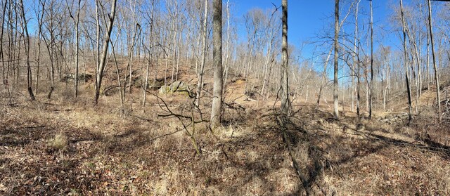 view of local wilderness