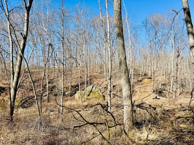 view of landscape