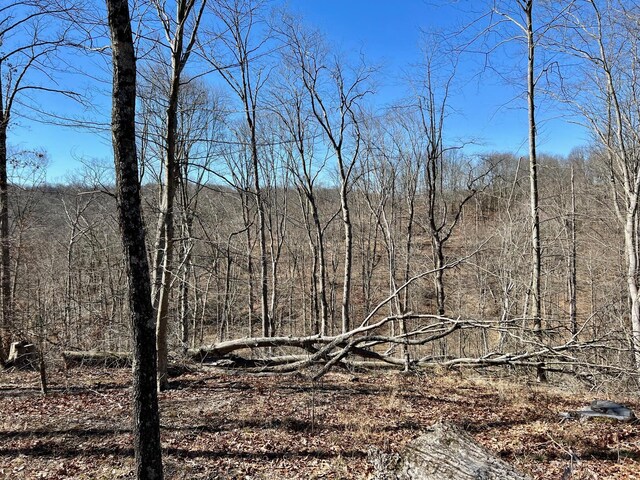 view of nature