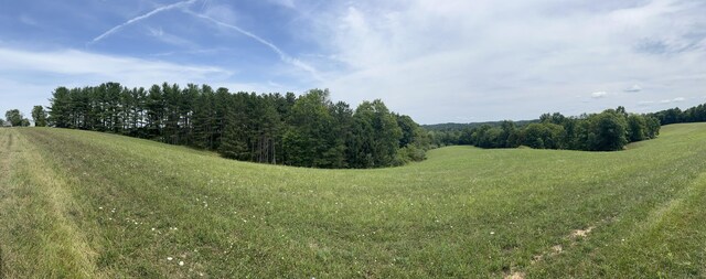 view of local wilderness