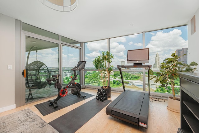 exercise room featuring a wall of windows, a healthy amount of sunlight, and hardwood / wood-style flooring