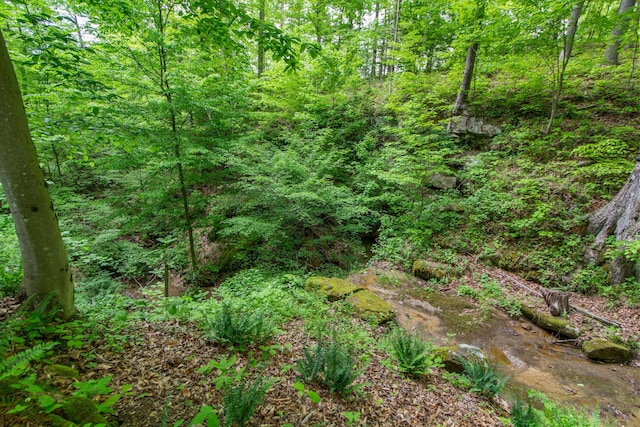 view of landscape