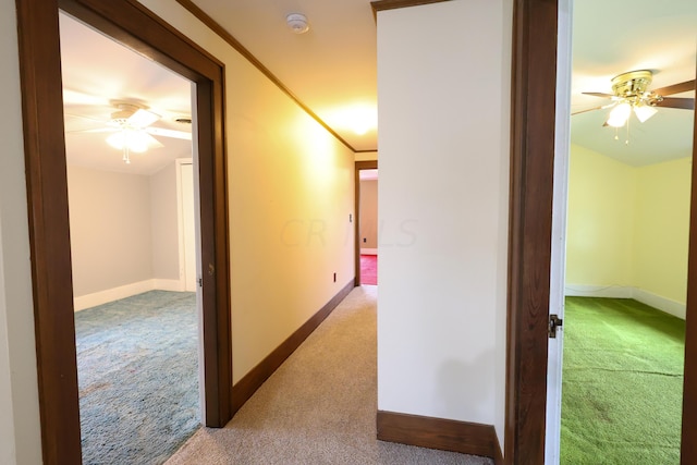 hallway with crown molding and light colored carpet