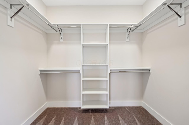 spacious closet featuring dark colored carpet