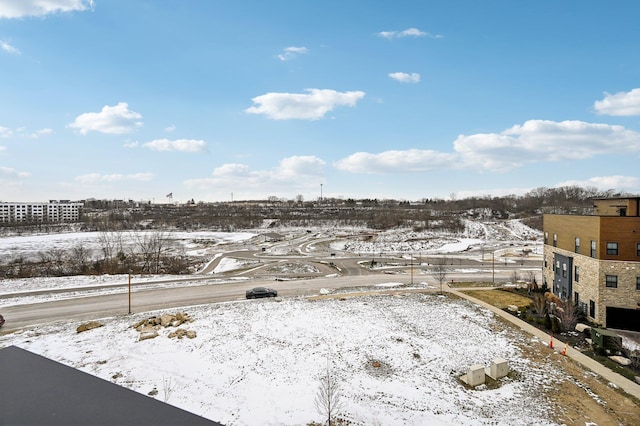 view of yard covered in snow