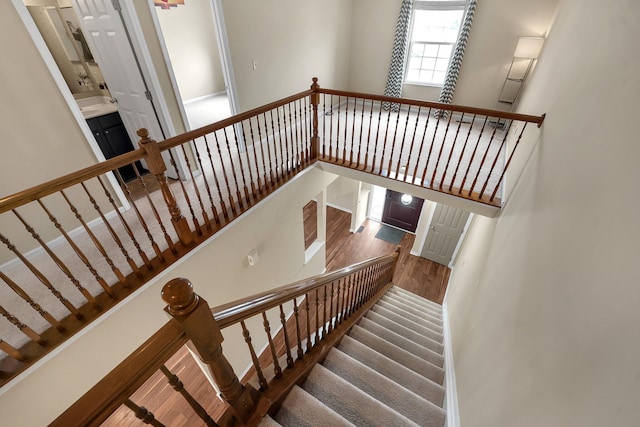 stairway with hardwood / wood-style floors